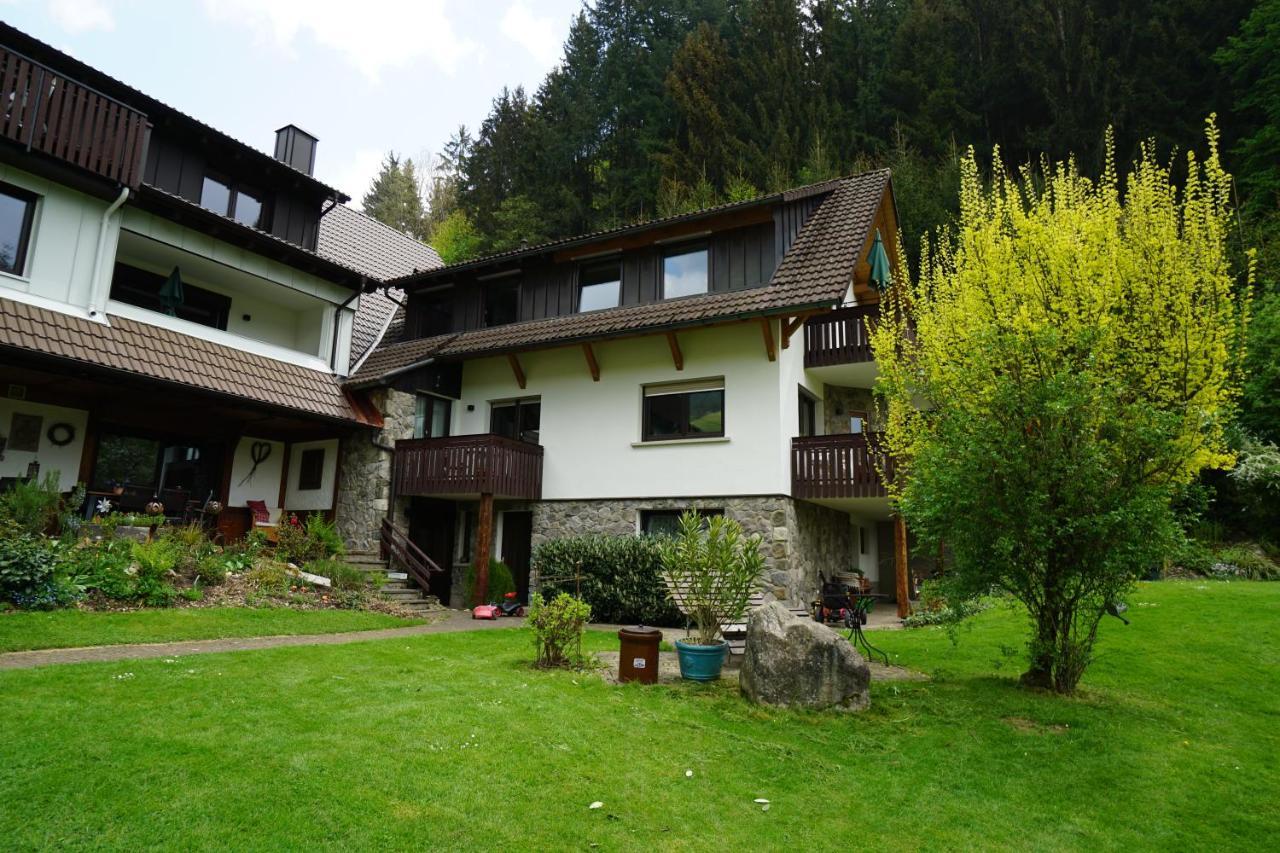 Höllkopf - Stubenhof, Black Forest Simonswald Exterior foto